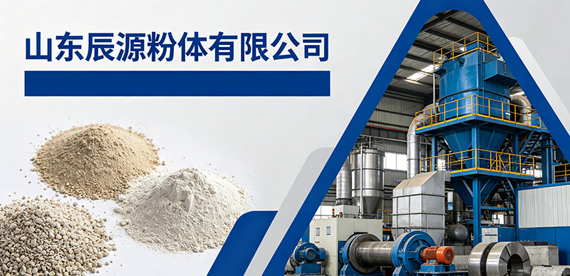 山东辰源粉体有限公司